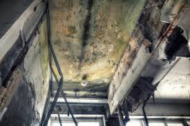 Best Mold Removal for HVAC Installations  in Bloomfield, IA